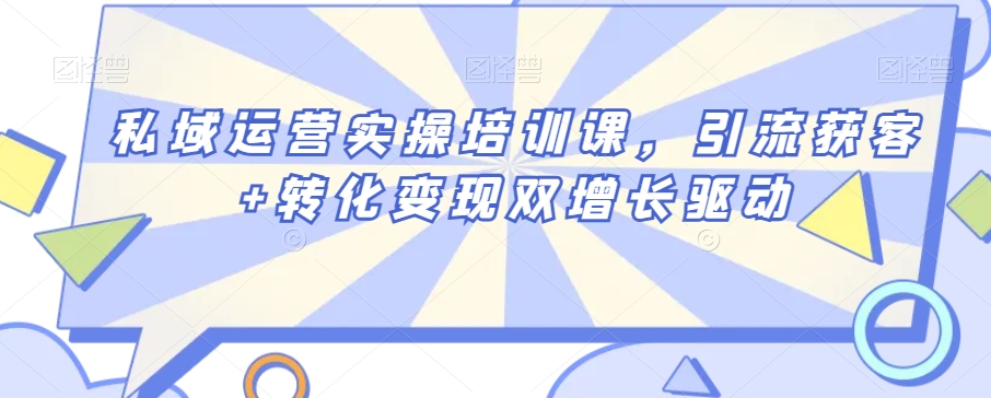 私域运营实操培训课,引流获客+转化变现双增长驱动-阳知网创资源库