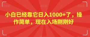 小白已经靠它日入1000+了,操作简单,现在入场刚刚好【揭秘】-阳知网创资源库