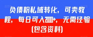 负债粉私域转化,可卖教程,每日可入2000+,无需经验(包含资料)【揭秘】-阳知网创资源库