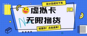 虚拟卡无限撸货，百分百成功下车【仅揭秘】-阳知网创资源库