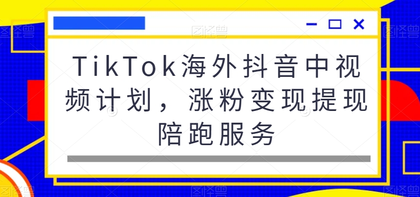 TikTok海外抖音中视频计划，涨粉变现提现陪跑服务-阳知网创资源库