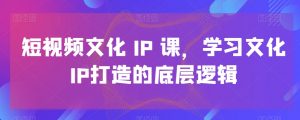 短视频文化IP课,学习文化IP打造的底层逻辑-阳知网创资源库