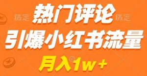 热门评论引爆小红书流量，作品制作简单，商单接到手软【揭秘】-阳知网创资源库