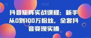 抖音矩阵实战课程:新手从0到100万粉丝,全套抖音变现实操-阳知网创资源库