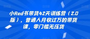 小Red书带货42天训练营(2.0版),普通人月收过万的带货课,零门槛无压货-阳知网创资源库