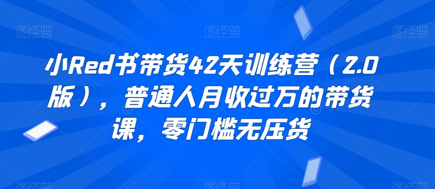 小Red书带货42天训练营（2.0版），普通人月收过万的带货课，零门槛无压货-阳知网创资源库