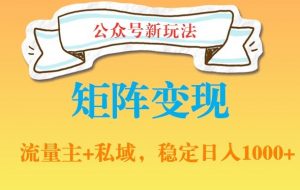 公众号软件玩法私域引流网盘拉新,多种变现,稳定日入1000【揭秘】-阳知网创资源库