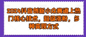 2024抖音创新小众赛道上热门核心技术,超级涨粉,多种变现方式【揭秘】-阳知网创资源库