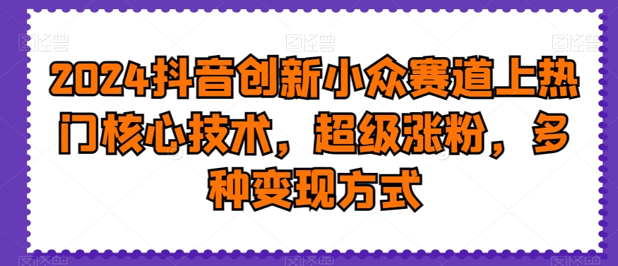 2024抖音创新小众赛道上热门核心技术,超级涨粉,多种变现方式【揭秘】-阳知网创资源库