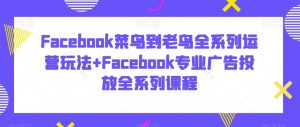 Facebook菜鸟到老鸟全系列运营玩法+Facebook专业广告投放全系列课程-阳知网创资源库