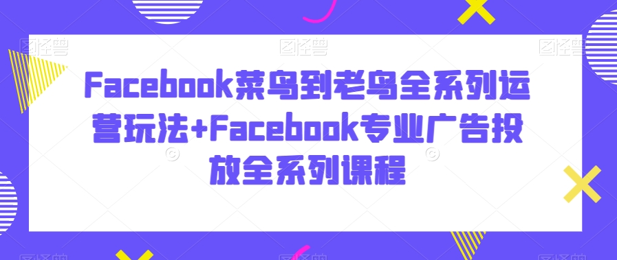 Facebook菜鸟到老鸟全系列运营玩法+Facebook专业广告投放全系列课程-阳知网创资源库