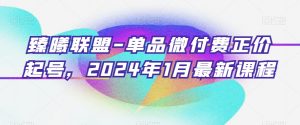 臻曦联盟-单品微付费正价起号，2024年1月最新课程-阳知网创资源库