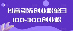 抖音引流创业粉单日100-300创业粉【揭秘】-阳知网创资源库