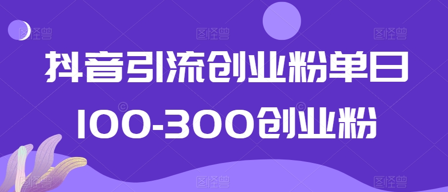 抖音引流创业粉单日100-300创业粉【揭秘】-阳知网创资源库