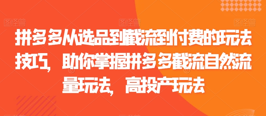 拼多多从选品到截流到付费的玩法技巧,助你掌握拼多多截流自然流量玩法,高投产玩法-阳知网创资源库