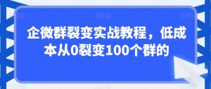 企微群裂变实战教程,低成本从0裂变100个群的-阳知网创资源库