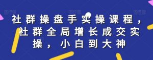 社群实操课程,社群全局增长成交实操,小白到大神-阳知网创资源库
