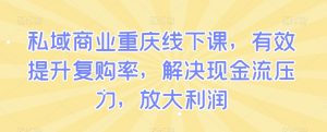 私域商业重庆线下课,有效提升复购率,解决现金流压力,放大利润-阳知网创资源库