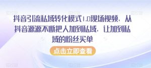 抖音引流私域转化模式1.0现场视频,从抖音源源不断把人加到私域,让加到私域的粉丝买单-阳知网创资源库