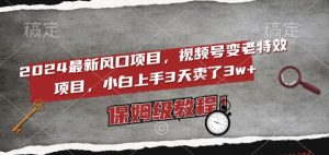 2024最新风口项目,视频号变老特效项目,电脑小白上手3天卖了3w+,保姆级教程【揭秘】-阳知网创资源库