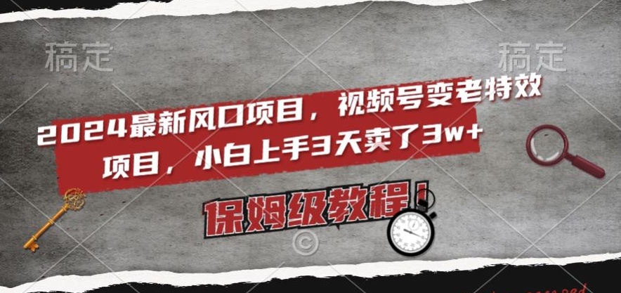 2024最新风口项目,视频号变老特效项目,电脑小白上手3天卖了3w+,保姆级教程【揭秘】-阳知网创资源库