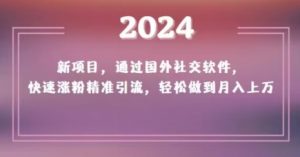 2024新项目,通过国外社交软件,快速涨粉精准引流,轻松做到月入上万【揭秘】-阳知网创资源库