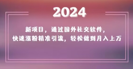 2024新项目,通过国外社交软件,快速涨粉精准引流,轻松做到月入上万【揭秘】-阳知网创资源库
