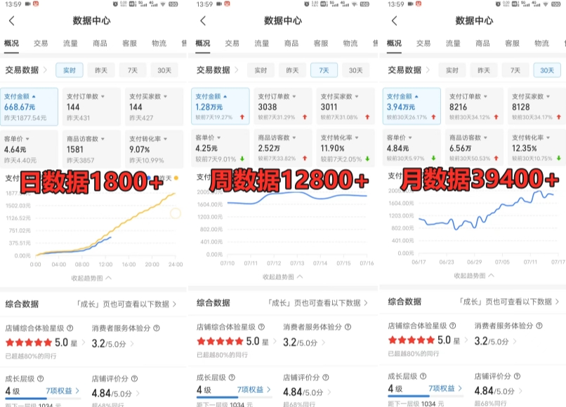 拼多多虚拟电商训练营月入30000+你也行,暴利稳定长久,副业首选-阳知网创资源库