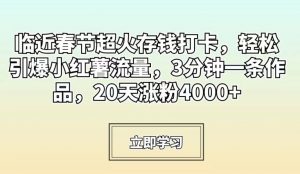 临近春节超火存钱打卡,轻松引爆小红薯流量,3分钟一条作品,20天涨粉4000+【揭秘】-阳知网创资源库