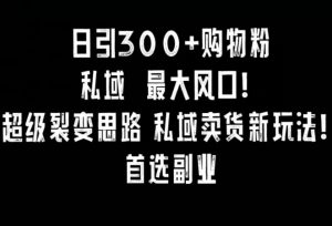 日引300+购物粉，超级裂变思路，私域卖货新玩法，小红书首选副业【揭秘】-阳知网创资源库