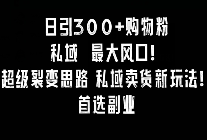 日引300+购物粉,超级裂变思路,私域卖货新玩法,小红书首选副业【揭秘】-阳知网创资源库