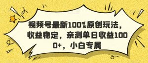 视频号最新100%原创玩法，收益稳定，亲测单日收益1000+，小白专属【揭秘】-阳知网创资源库