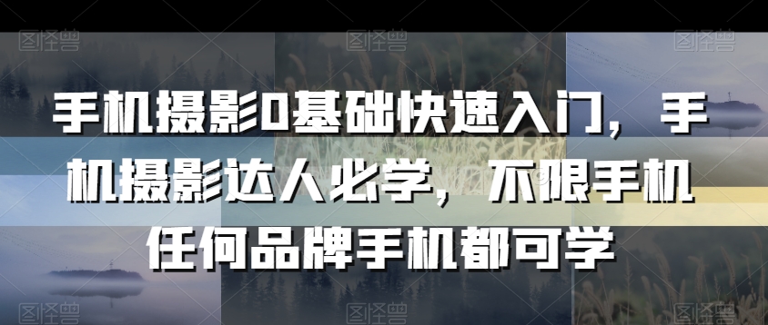 手机摄影0基础快速入门，手机摄影达人必学，不限手机任何品牌手机都可学-阳知网创资源库