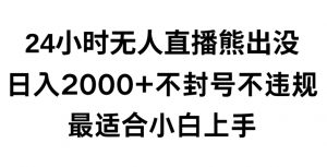 快手24小时无人直播熊出没,不封直播间,不违规,日入2000+,最适合小白上手,保姆式教学【揭秘】-阳知网创资源库