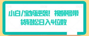 小白/宝妈逆袭!视频号带货轻松日入4位数【揭秘】-阳知网创资源库
