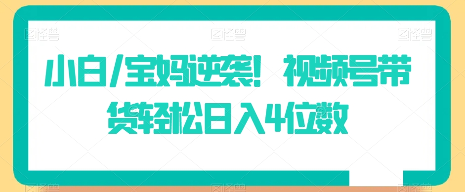 小白/宝妈逆袭!视频号带货轻松日入4位数【揭秘】-阳知网创资源库
