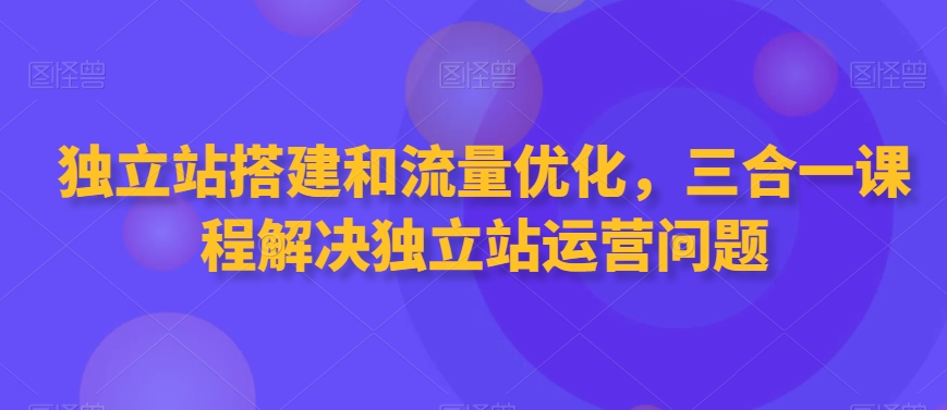 独立站搭建和流量优化,三合一课程解决独立站运营问题-阳知网创资源库