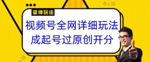 视频号全网最详细玩法,起号过原创开分成,单号日入300+【揭秘】-阳知网创资源库