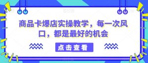 商品卡爆店实操教学,每一次风口,都是最好的机会-阳知网创资源库