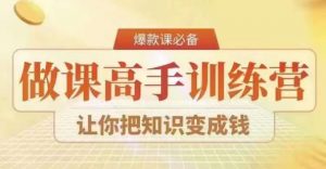 28天做课高手陪跑营,教你一套可复制的爆款做课系统,让你把知识变成钱-阳知网创资源库