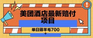美团酒店最新赔付项目，单日薅羊毛700+【仅揭秘】-阳知网创资源库