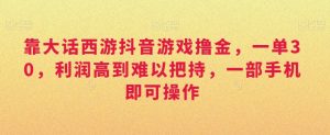 靠大话西游抖音游戏撸金,一单30,利润高到难以把持,一部手机即可操作,日入3000+【揭秘】-阳知网创资源库