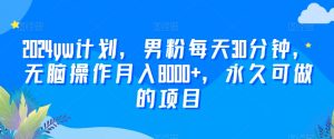 2024yw计划，男粉每天30分钟，无脑操作月入8000+，永久可做的项目【揭秘】-阳知网创资源库