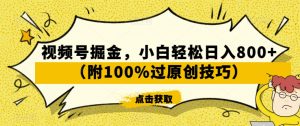 视频号掘金,小白轻松日入800+(附100%过原创技巧)【揭秘】-阳知网创资源库