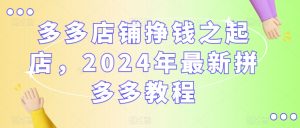 多多店铺挣钱之起店，2024年最新拼多多教程-阳知网创资源库