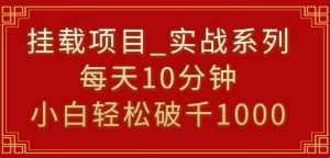 挂载项目，小白轻松破1000，每天10分钟，实战系列保姆级教程【揭秘】-阳知网创资源库