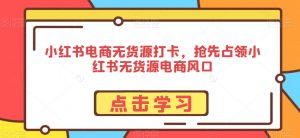 小红书电商无货源打卡,抢先占领小红书无货源电商风口-阳知网创资源库