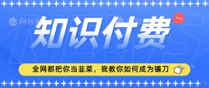 2024最新知识付费项目，小白也能轻松入局，全网都在教你做项目，我教你做镰刀【揭秘】-阳知网创资源库