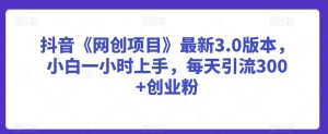 抖音《网创项目》最新3.0版本，小白一小时上手，每天引流300+创业粉【揭秘】-阳知网创资源库