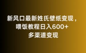 新风口最新姓氏壁纸变现,喂饭教程日入600+【揭秘】-阳知网创资源库